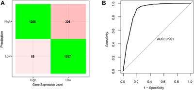 Decoding regulatory associations of G-quadruplex with epigenetic and transcriptomic functional components